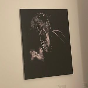 Black and white horse photo/ canvas
